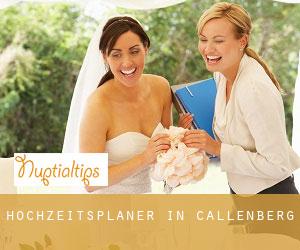 Hochzeitsplaner in Callenberg