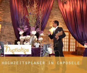 Hochzeitsplaner in Caposele