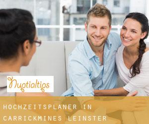 Hochzeitsplaner in Carrickmines (Leinster)