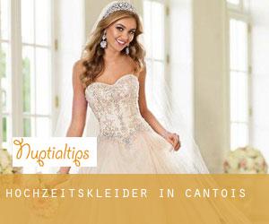 Hochzeitskleider in Cantois