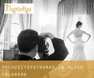 Hochzeitsfotograf in Alice (Colorado)