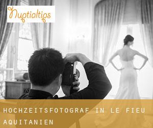 Hochzeitsfotograf in Le Fieu (Aquitanien)