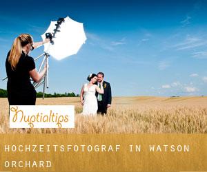 Hochzeitsfotograf in Watson Orchard