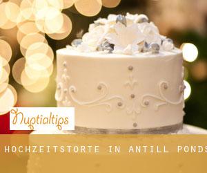 Hochzeitstorte in Antill Ponds