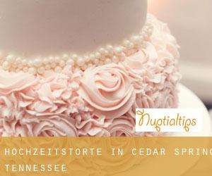 Hochzeitstorte in Cedar Spring (Tennessee)