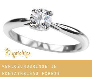 Verlobungsringe in Fontainbleau Forest