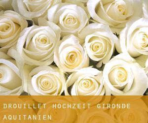 Drouillet hochzeit (Gironde, Aquitanien)