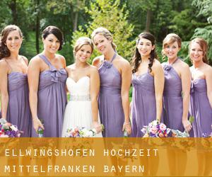 Ellwingshofen hochzeit (Mittelfranken, Bayern)