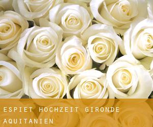 Espiet hochzeit (Gironde, Aquitanien)