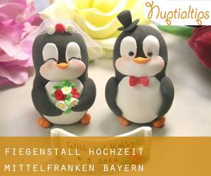 Fiegenstall hochzeit (Mittelfranken, Bayern)