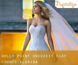 Holly Point hochzeit (Clay County, Florida)