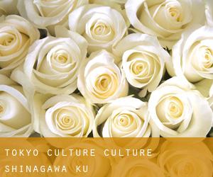 Tokyo Culture Culture (Shinagawa-ku)